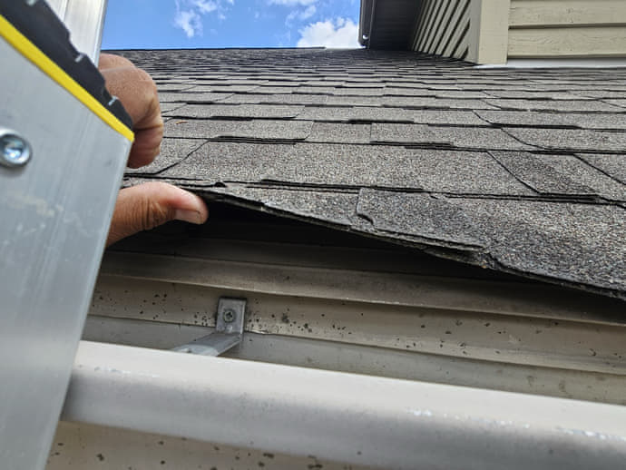 A loose shingle lifted by hand after a windstorm