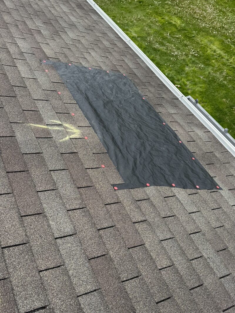 Black tarp secured over a damaged shingle area with red cap nails along the perimeter, yellow chalk arrow marking the underlying damage, asphalt slope around it documented before tear-off